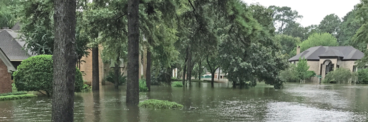 Hurricane Harvey Flood Damage
